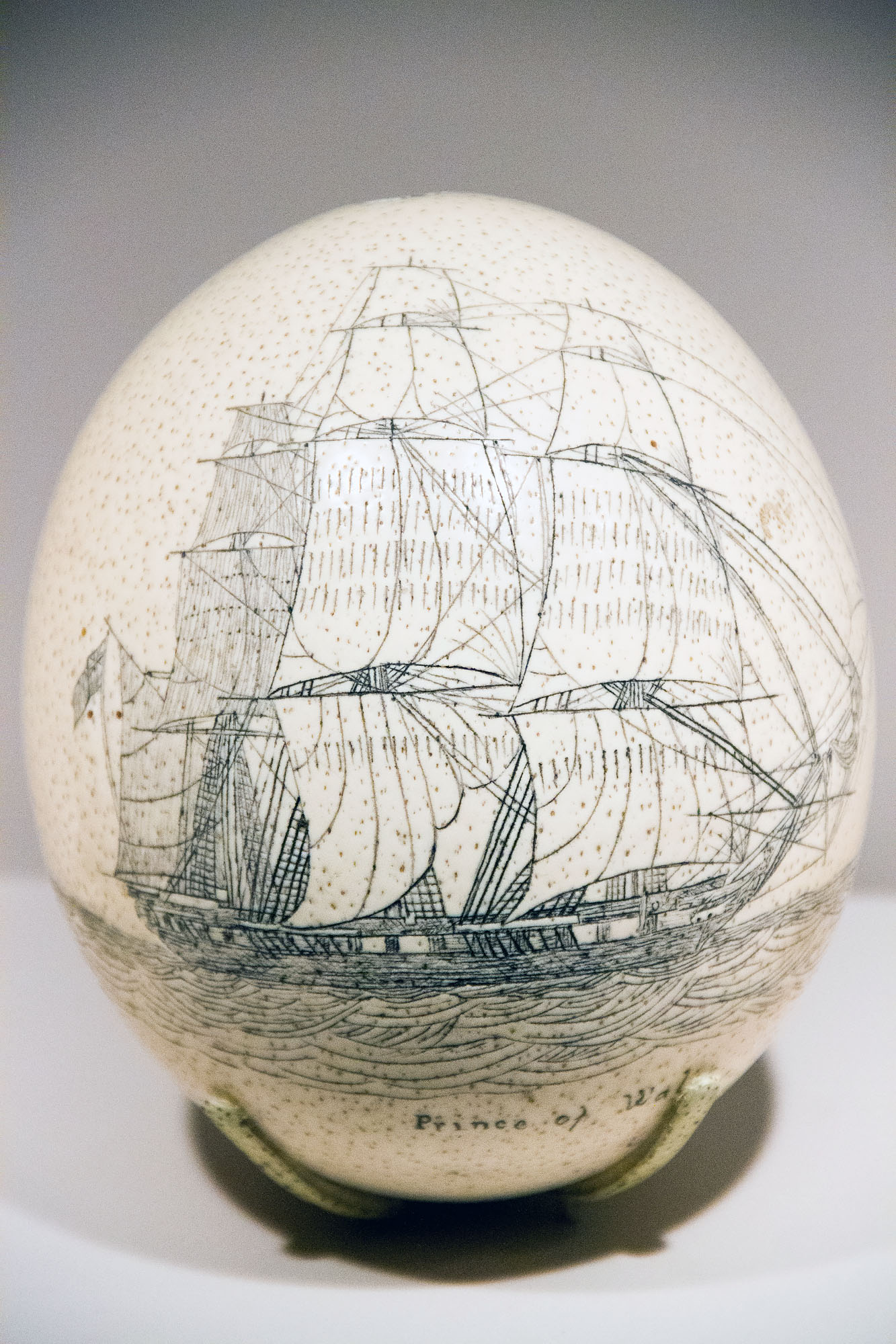 Drawing of a sail boat on an ostrich egg