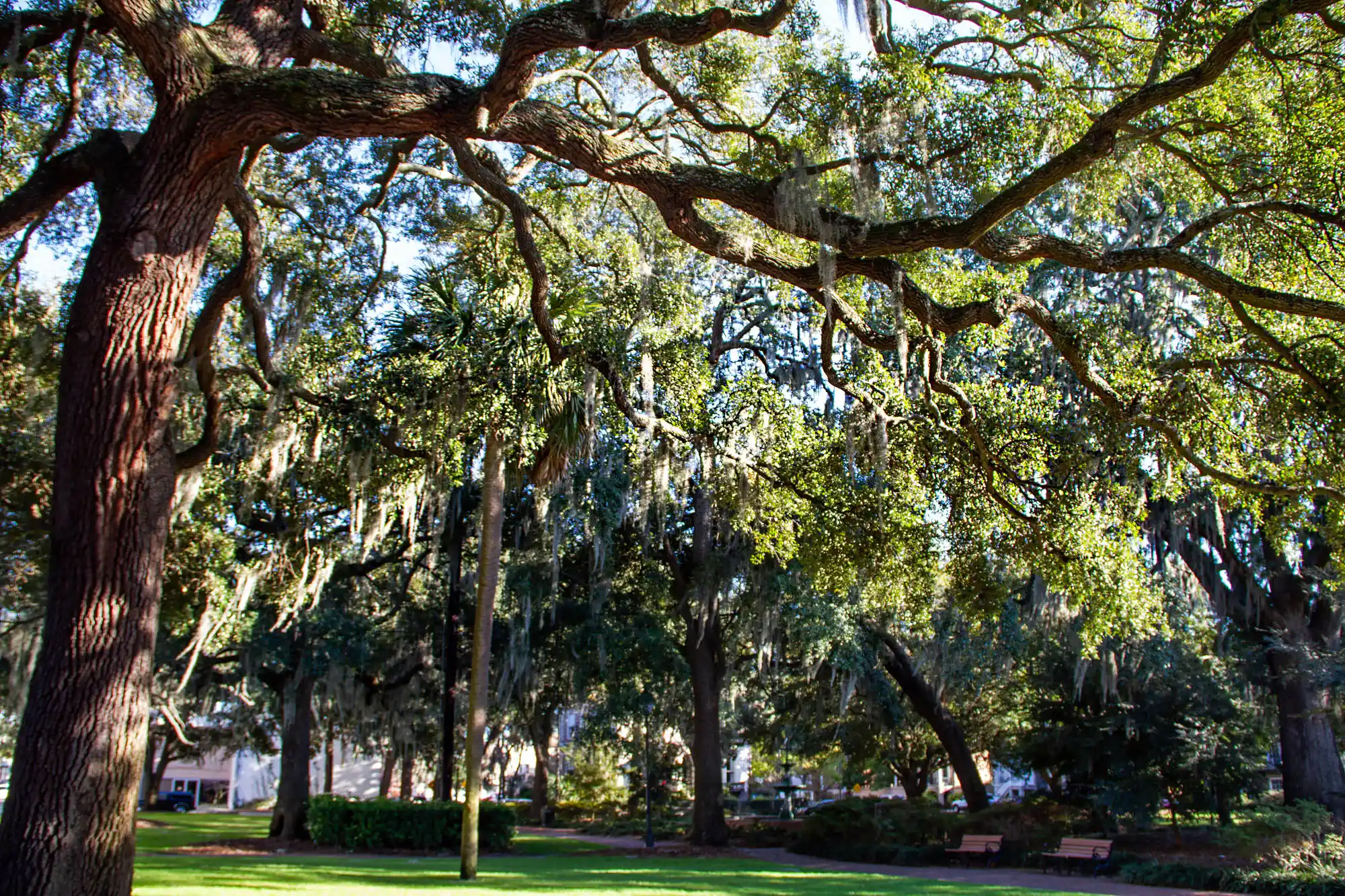 Lafayette Square 3 02 Lafayette Square Savannah IMG 5888