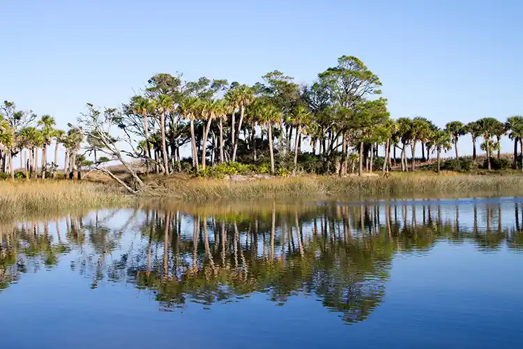 Hunting Island State Park and the Saga of Seventeen Splinters 4 Hunting Island FAQs