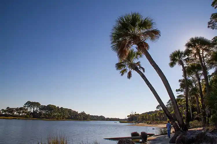 Hunting Island Travel Article