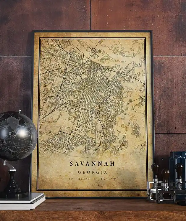 Savannah Map Vintage