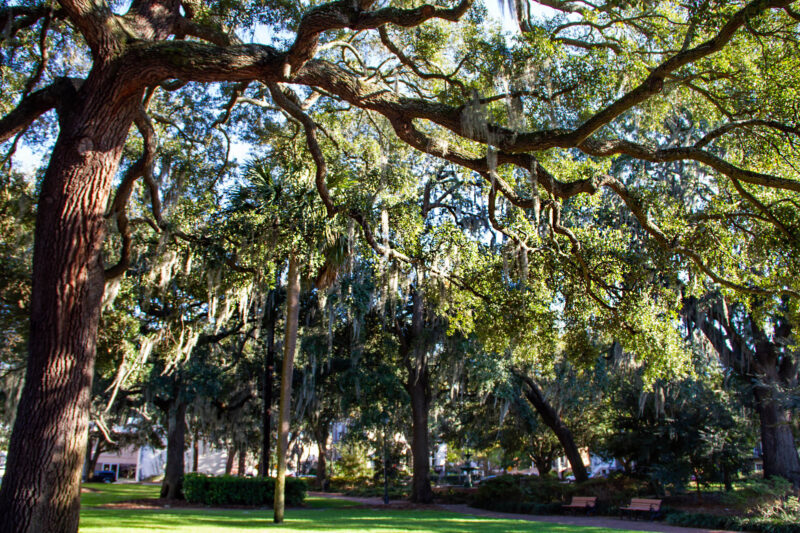 Lafayette Sq Savannah