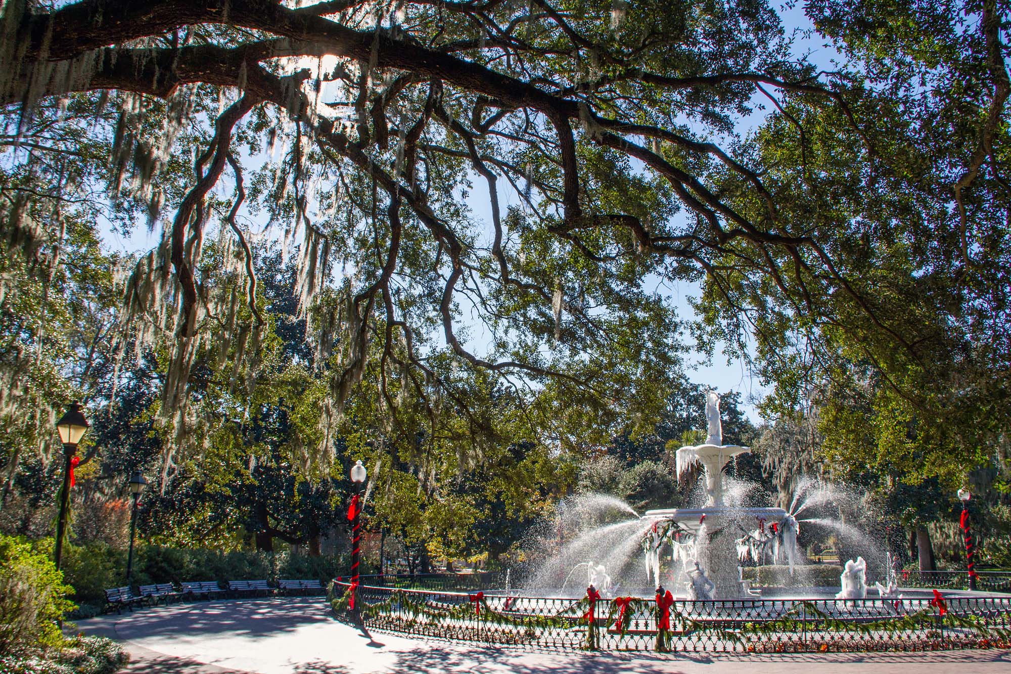 Forsyth Park Savannah in Winter