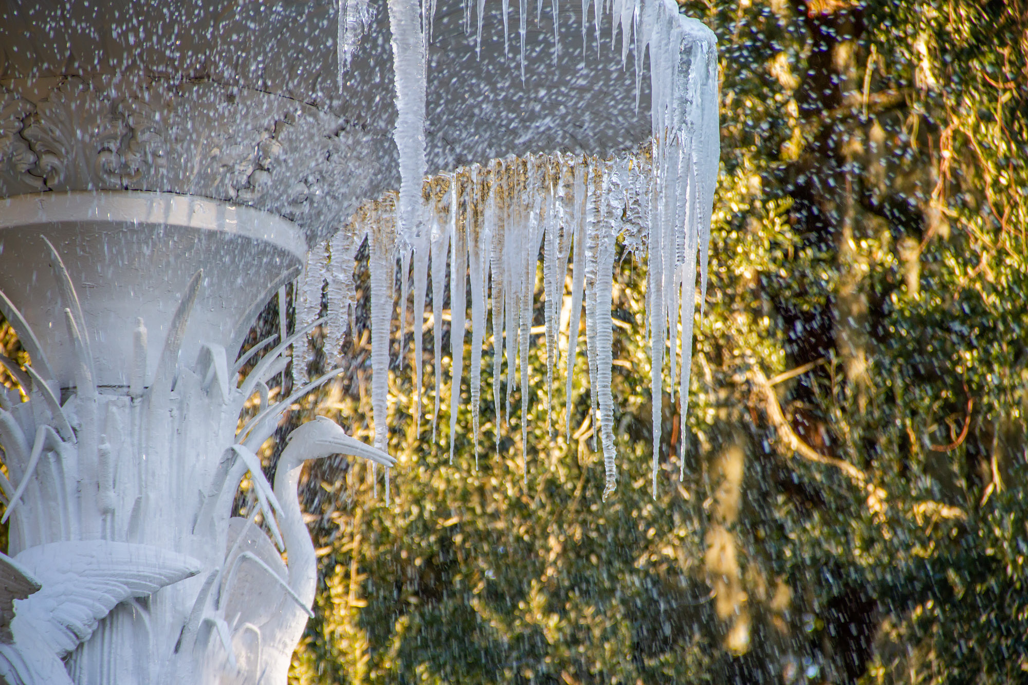 Savannah Fountain Ice Sickles