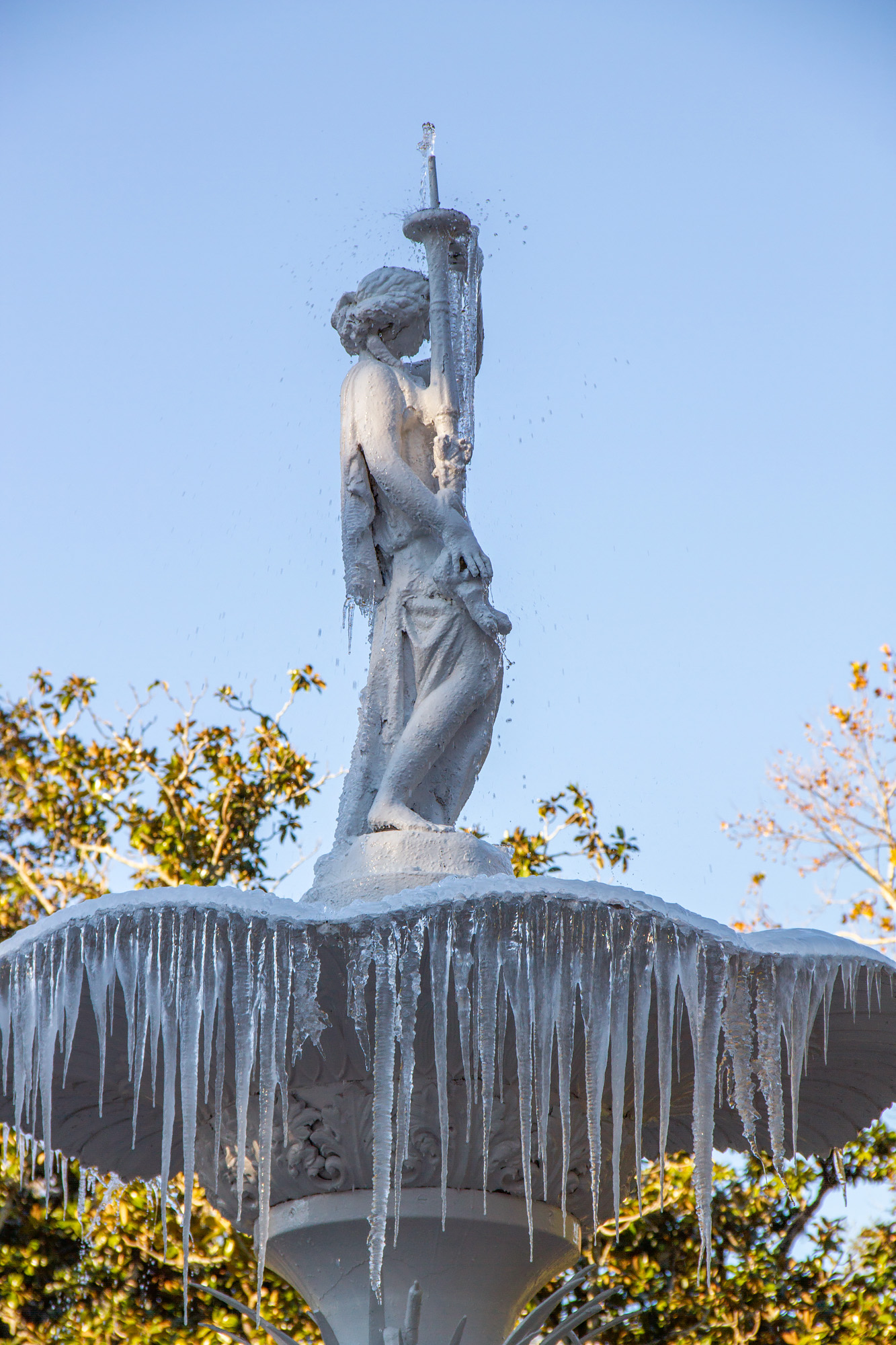 Savannah Frozen Fountain
