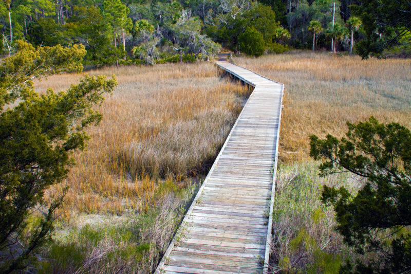 Hiking Savannah Skidaway Island