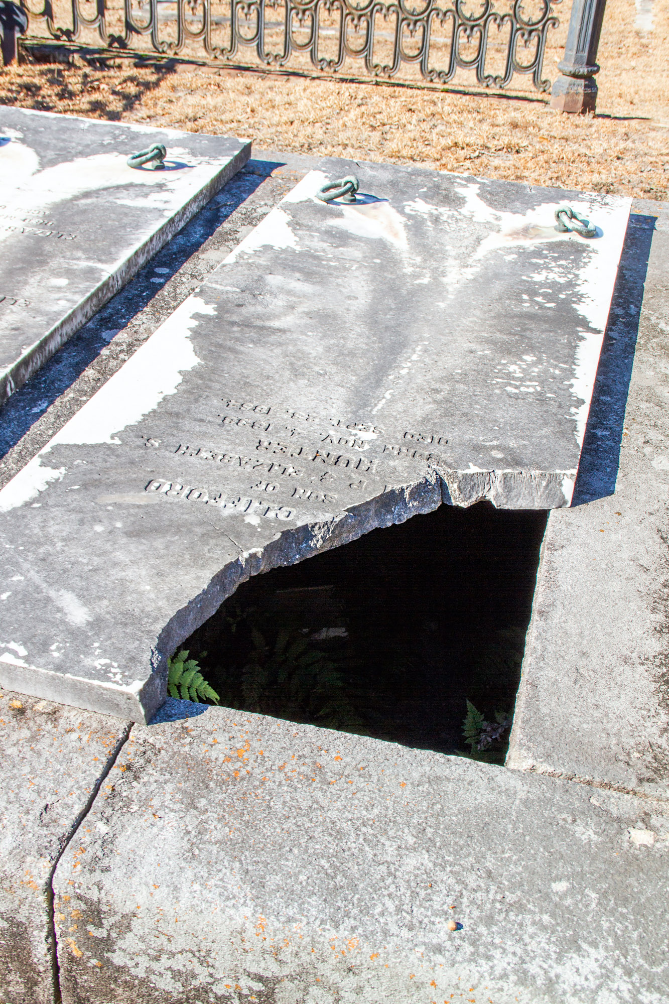 Broken Grave Savannah spooky