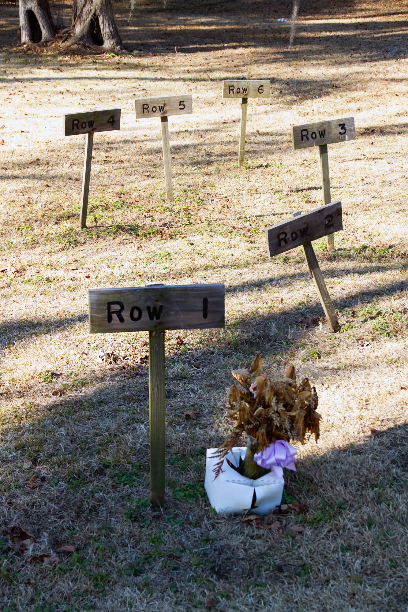 Mass grave Laurel Grove in Savannah