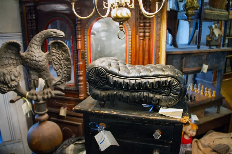 Pet leather sofa
