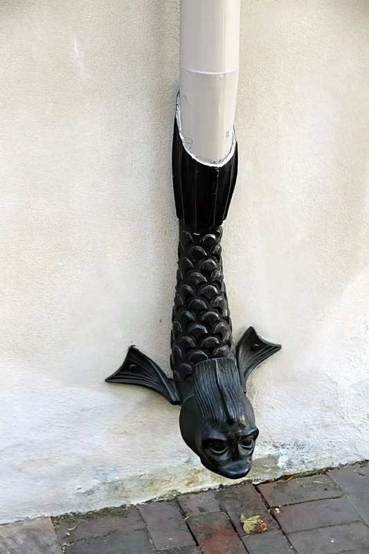 Spouting fish rain drain
