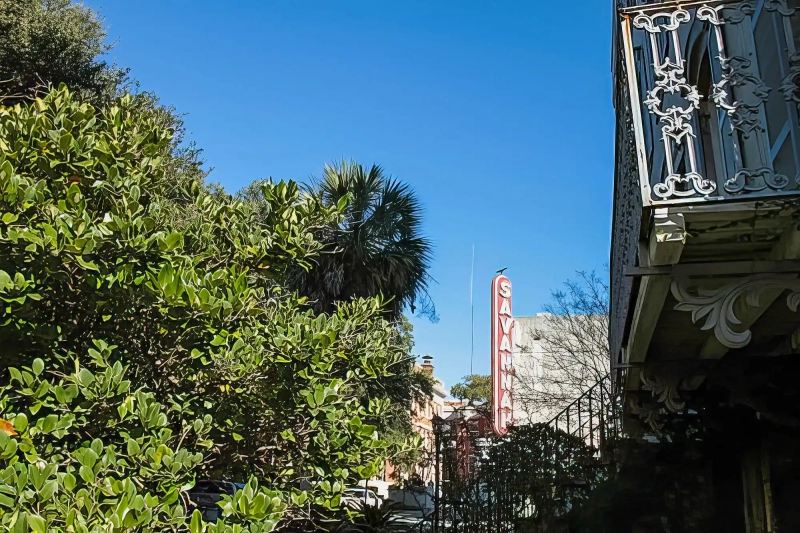 Culture in Savannah