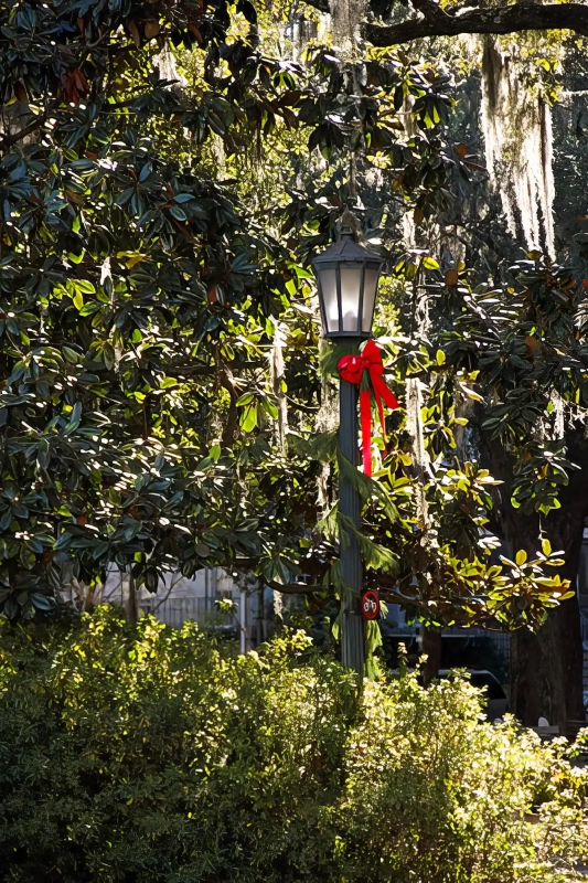 Christmas street light pole
