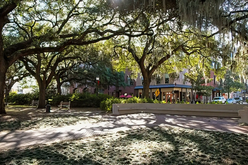 Sunny day in Savannah