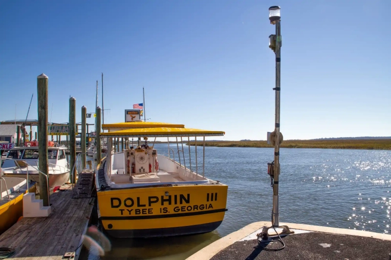 Yellow dolphin tour boat