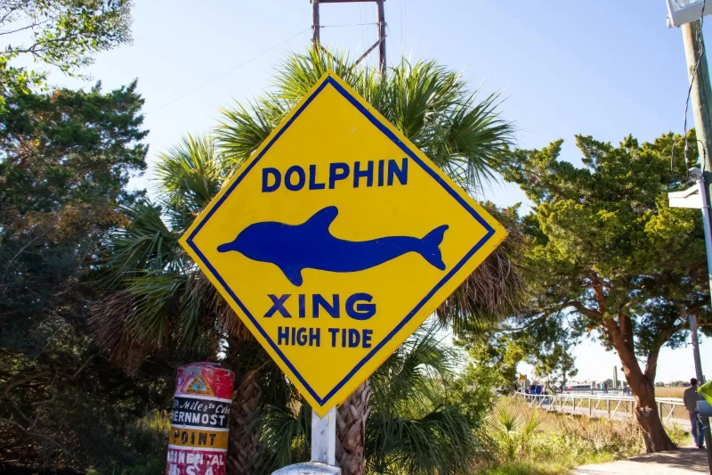 Dolphin warning sign