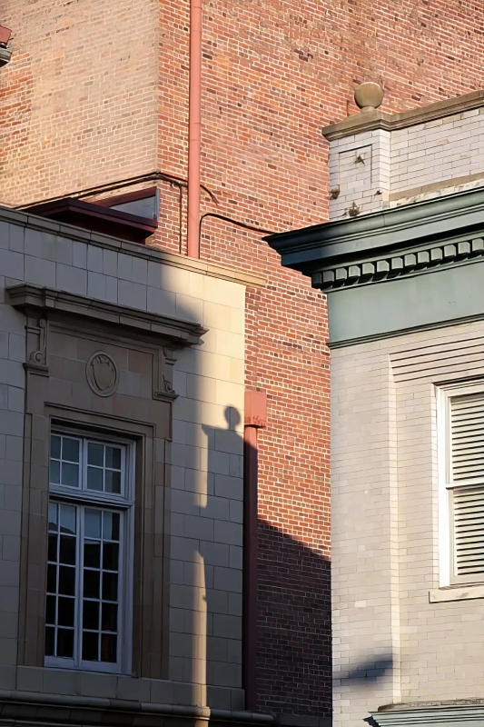 Photos of Savannah in the winter