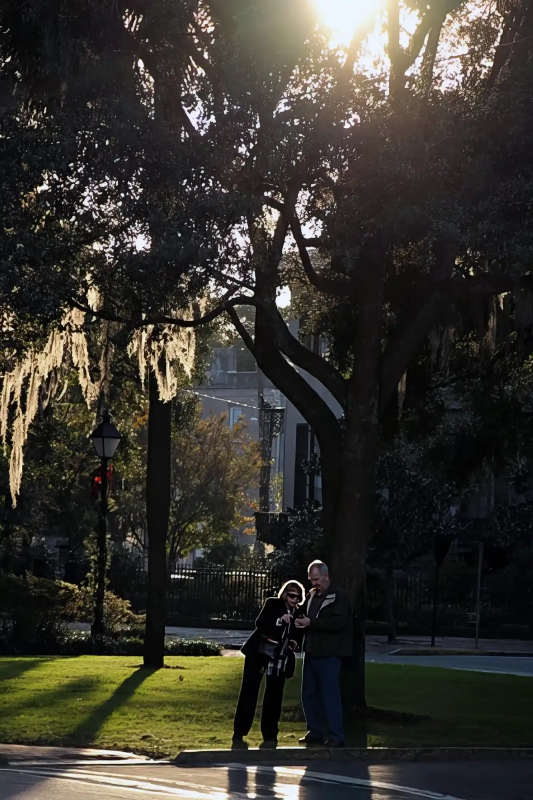 Hidden Savannah Photos