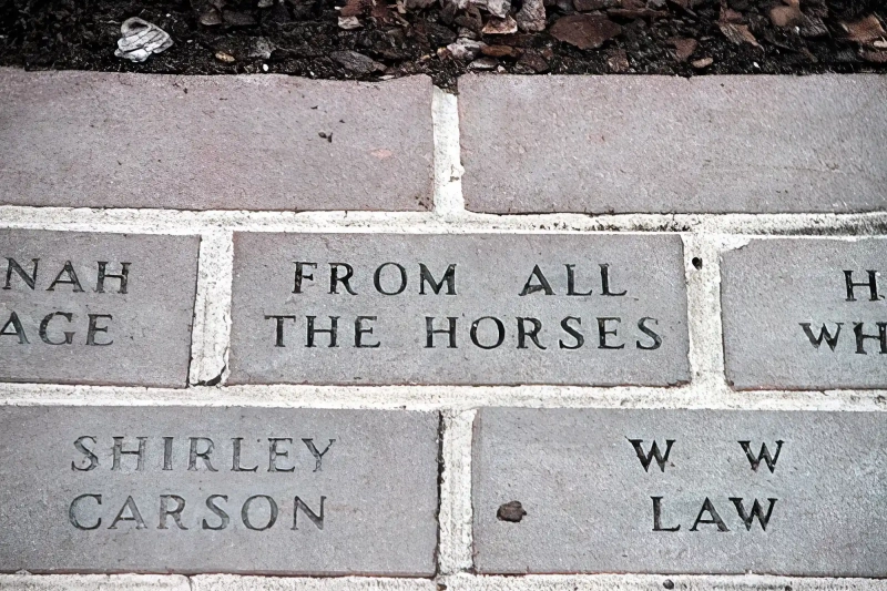Donation bricks