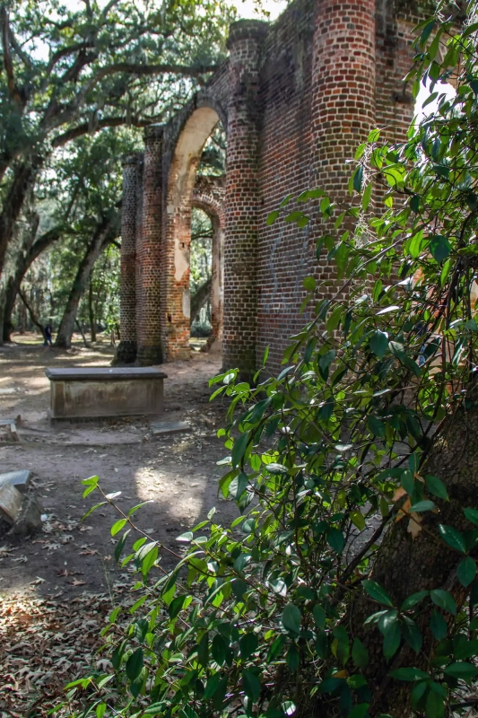 Abandoned church in the forest
