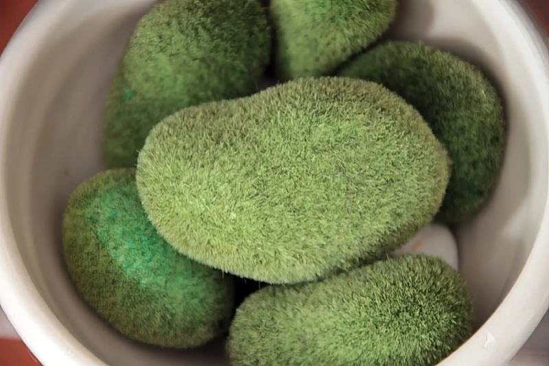 moss covered stones