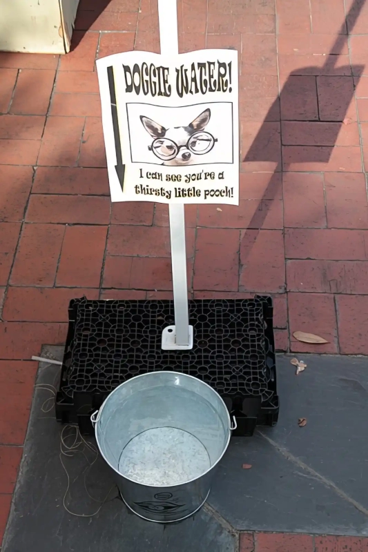 Doggy drinking station