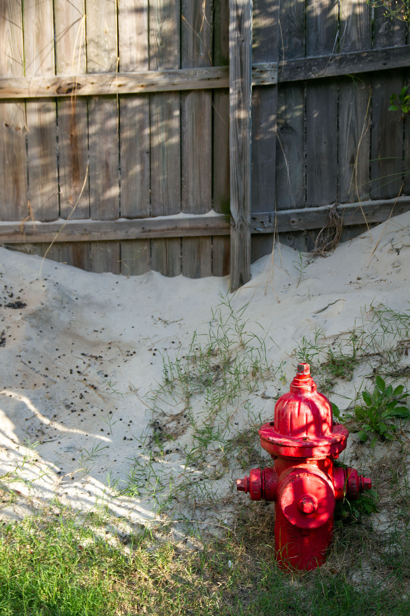 Red fire hydrant dunes
