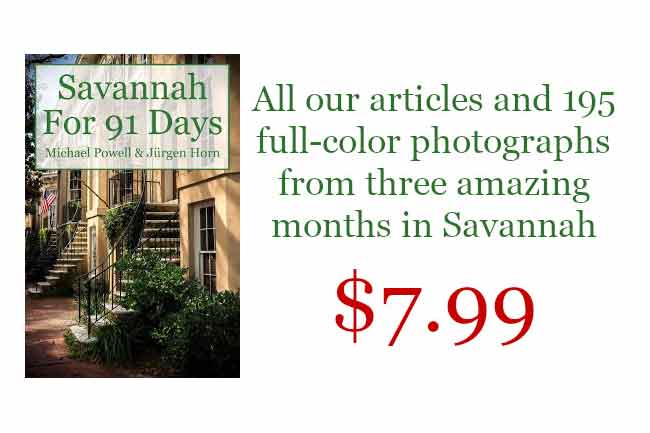 Savannah Travel Book