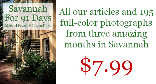 Read more about the article For 91 Days in Savannah – The E-Book