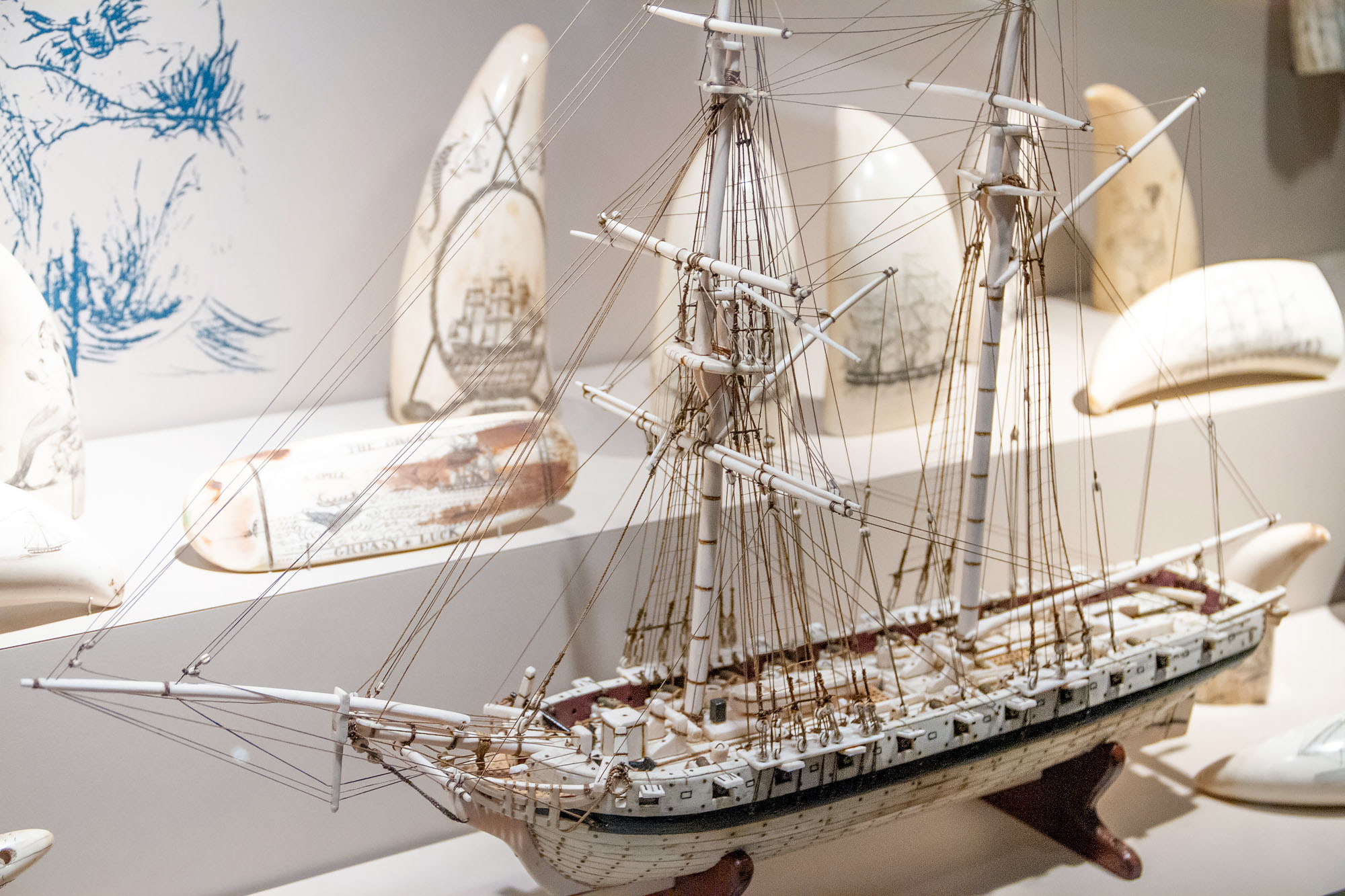 Tusk Sailing ship Savannah Museum