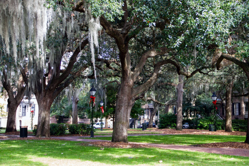 Calhoun Square - Savannah Travel Blog And Guide - For 91 Days