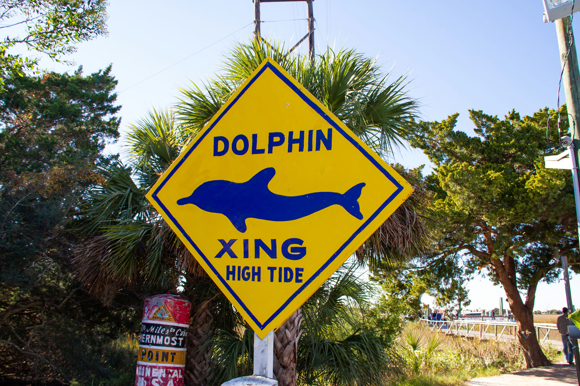 Dolphin Xing Sign
