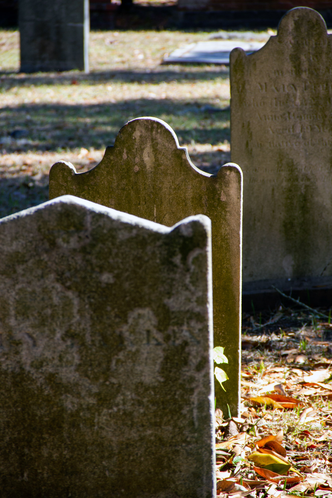 Old Grave Stones in Savannah