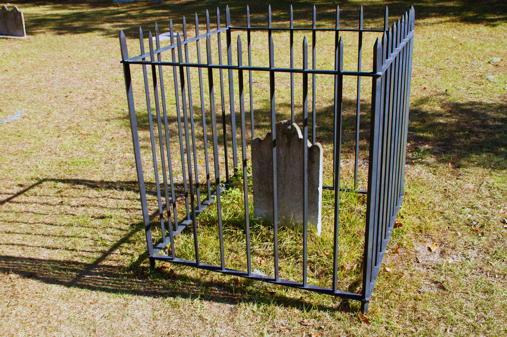 Werewolf Grave Savannah