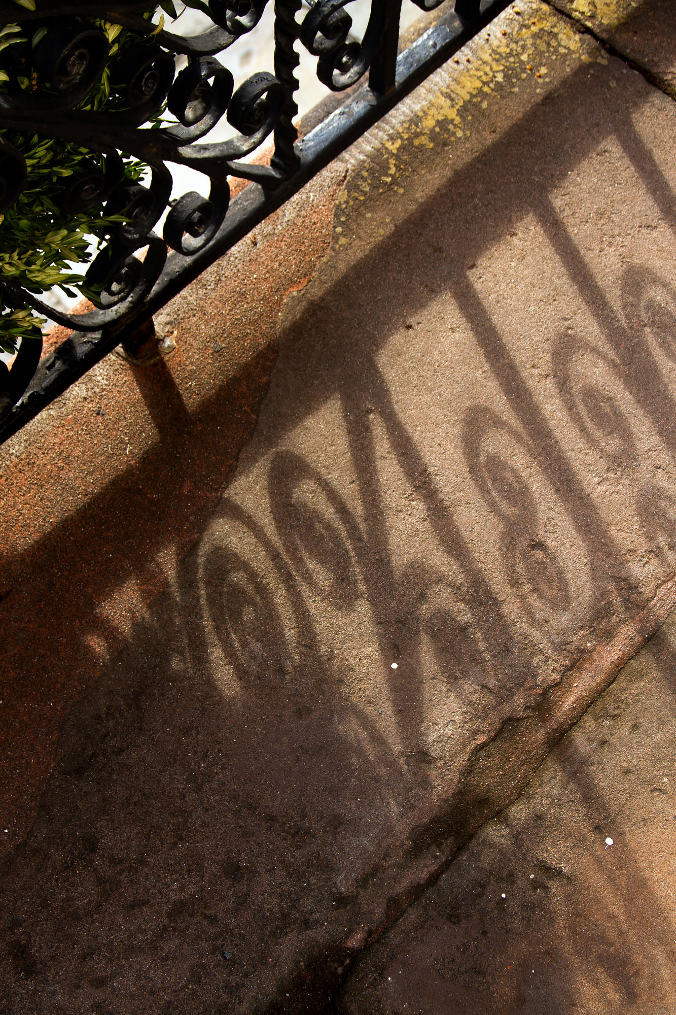 Fence Shadow