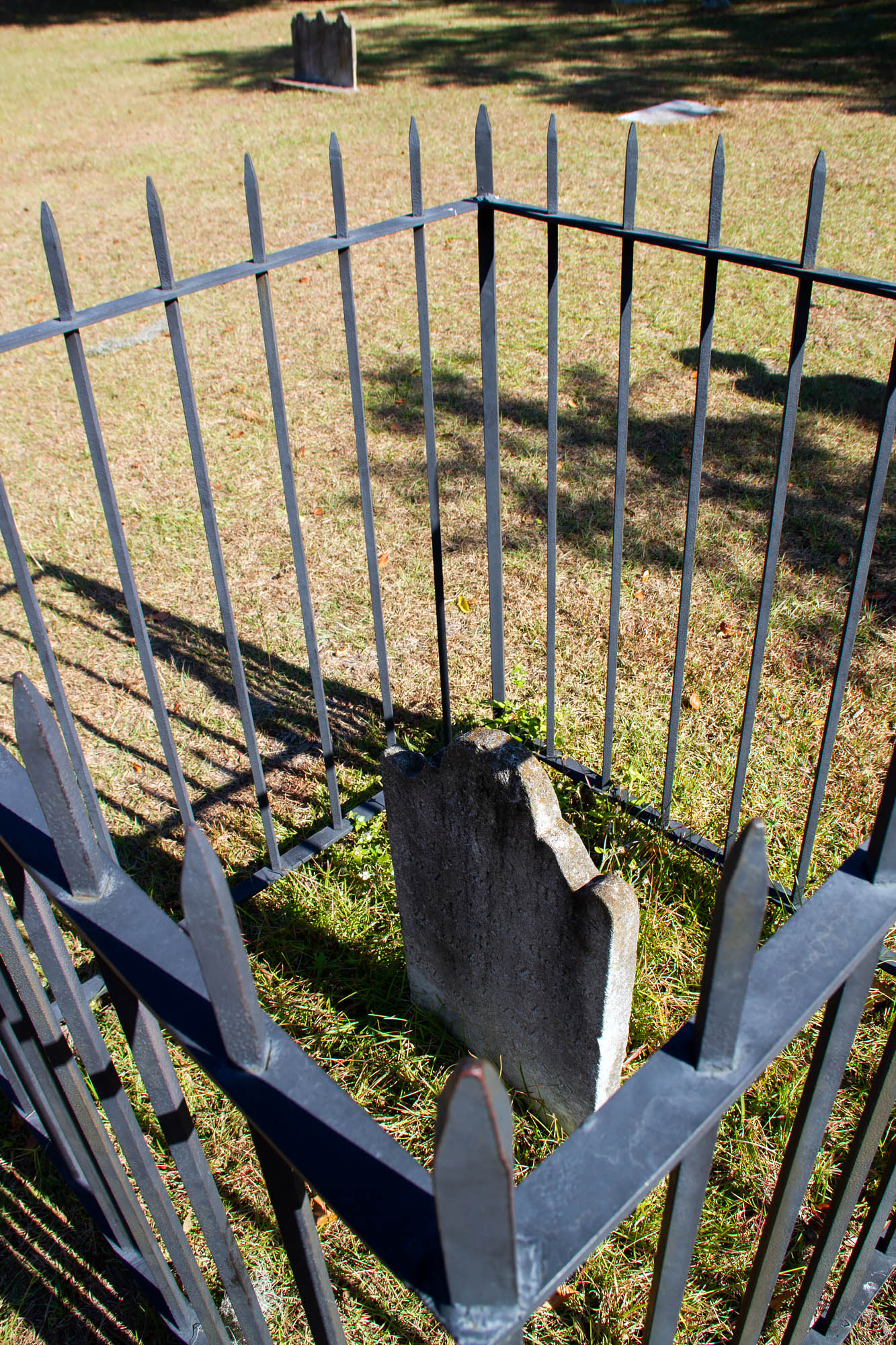Creepy Grave Savannah