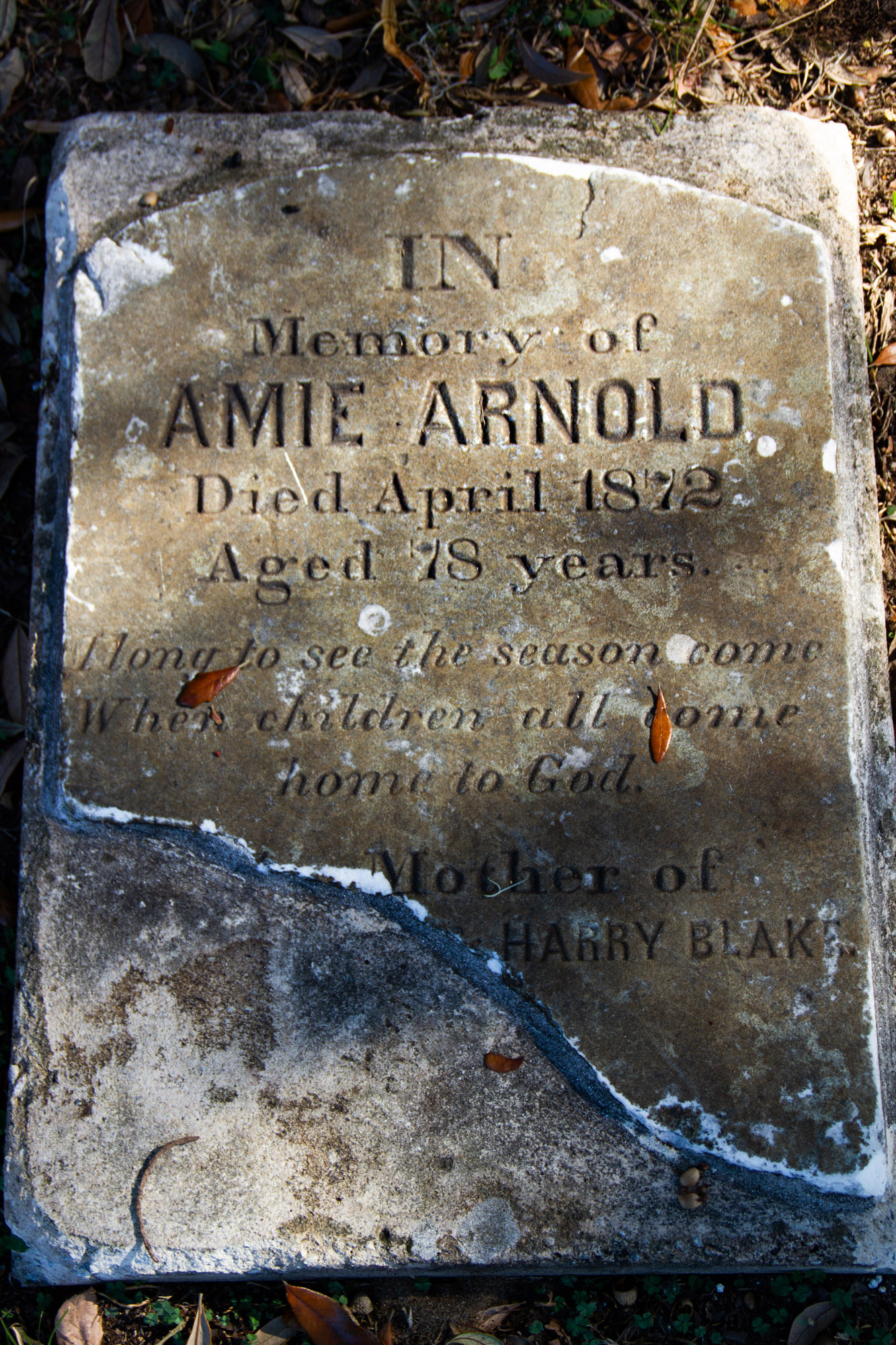 Amie Arnold Savannah Grave Stone