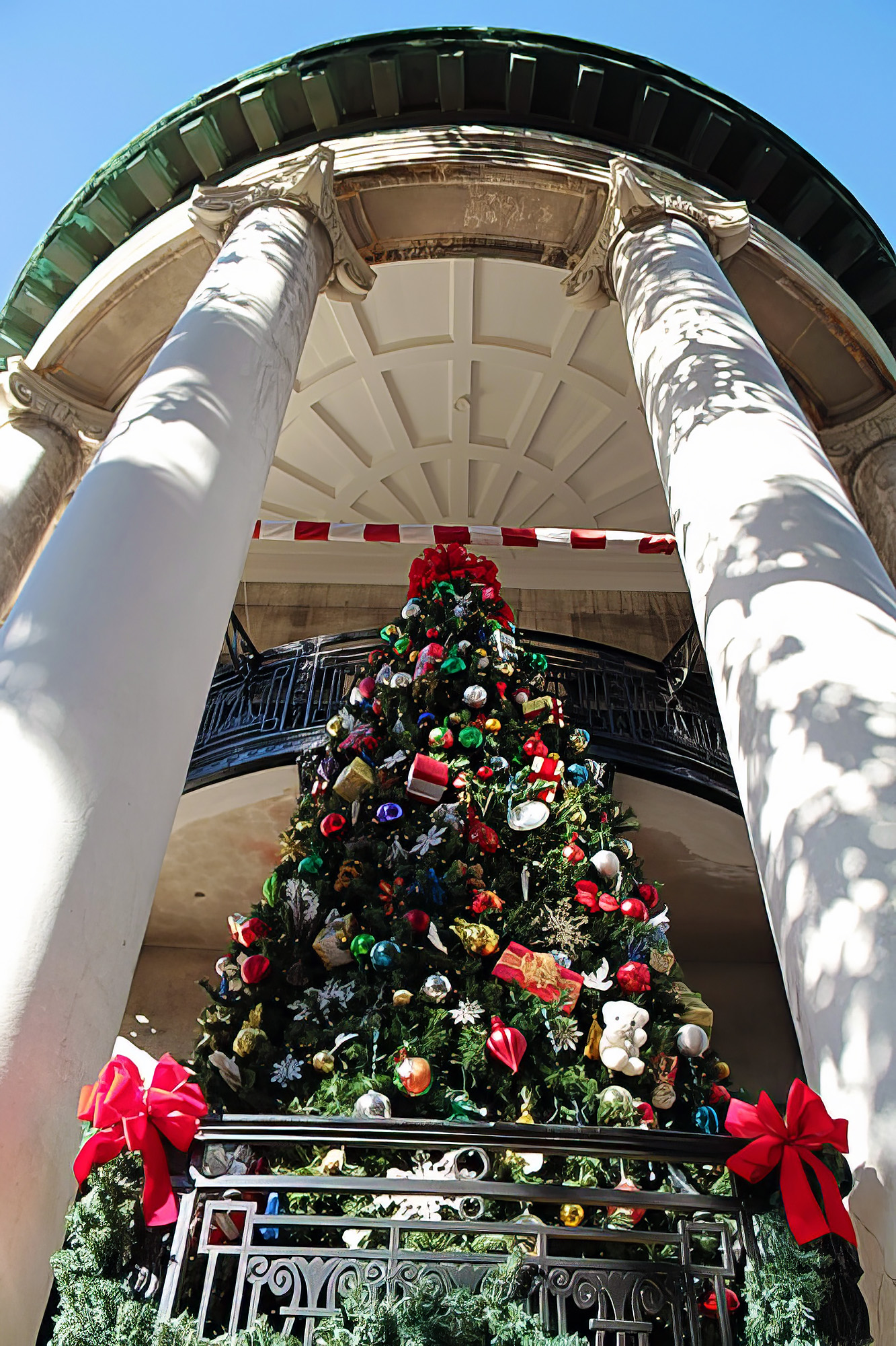 Christmas Tree Savannah Squares