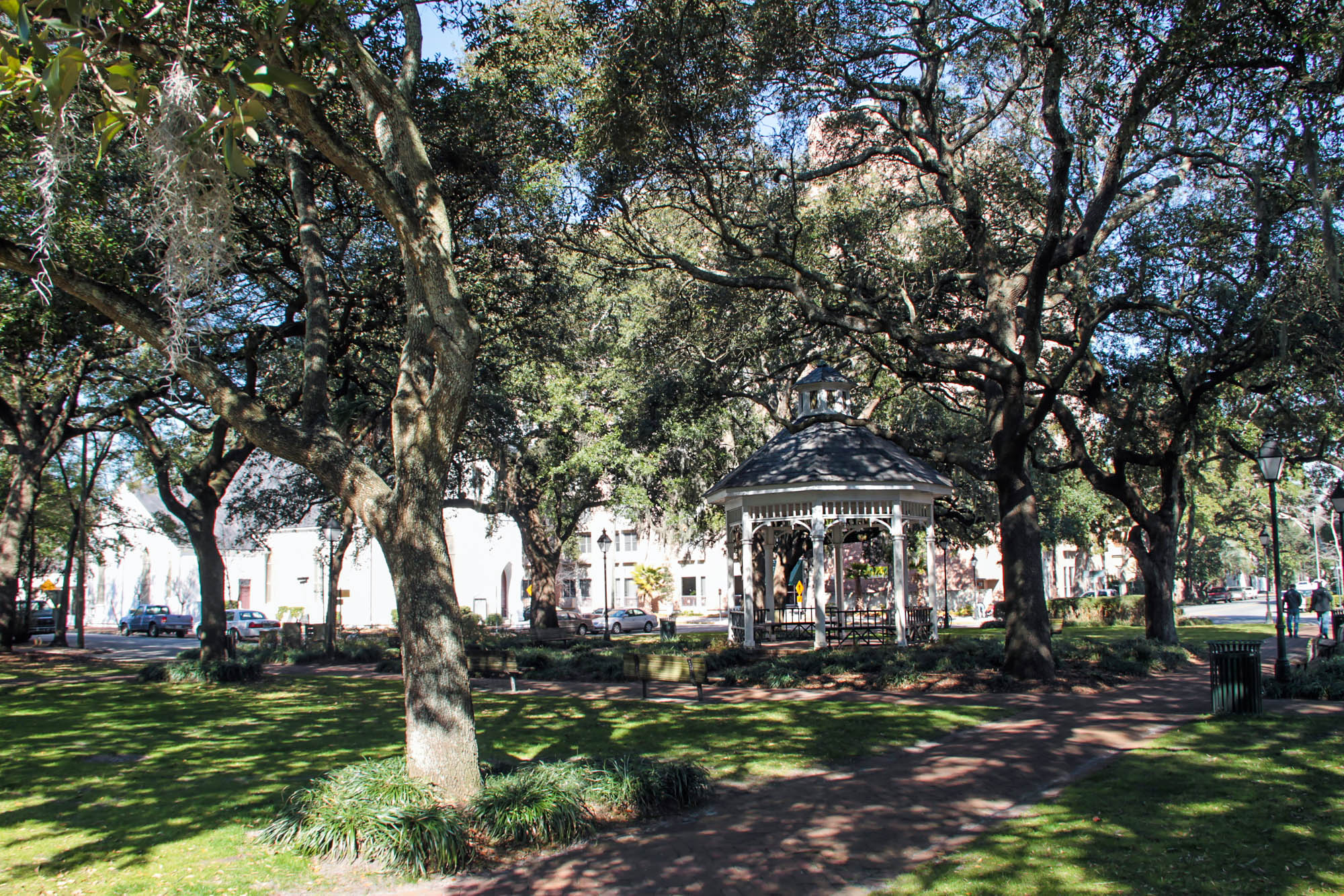 Whitefield Square trees in Savannah