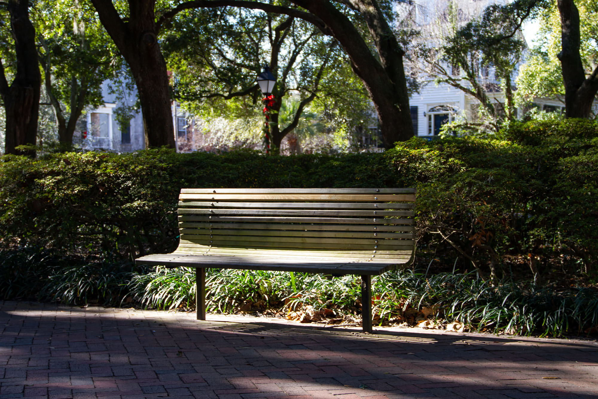 Pulaski Square bench in Savannah