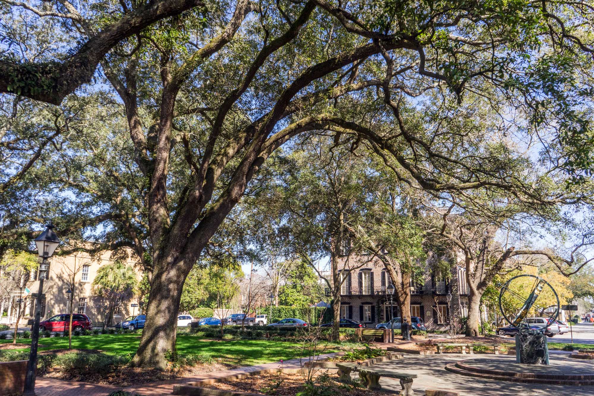 Troup Square in Savannah with trees