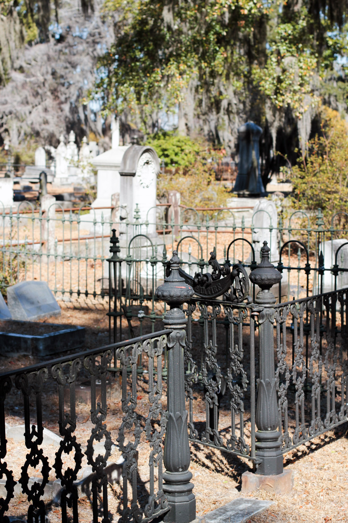 Metal gated grave in Savannah
