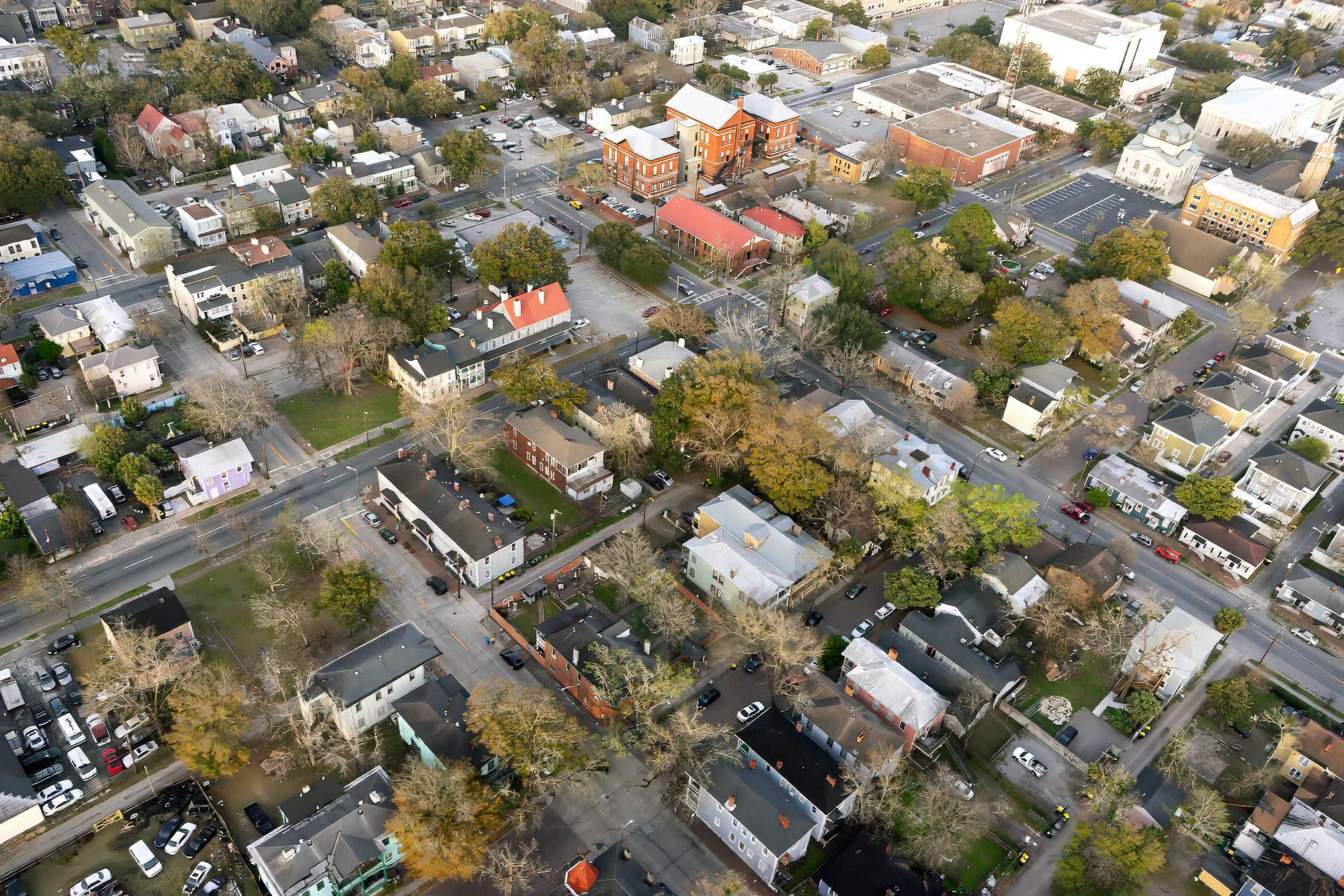 Savannah neighborhood from above