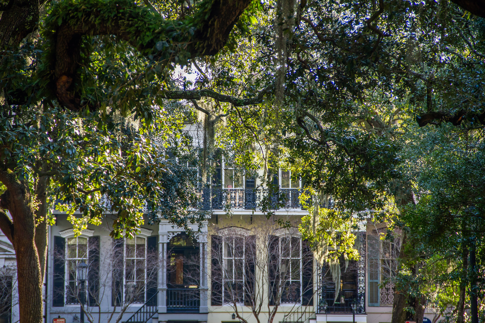 Hidden mansion Savannah